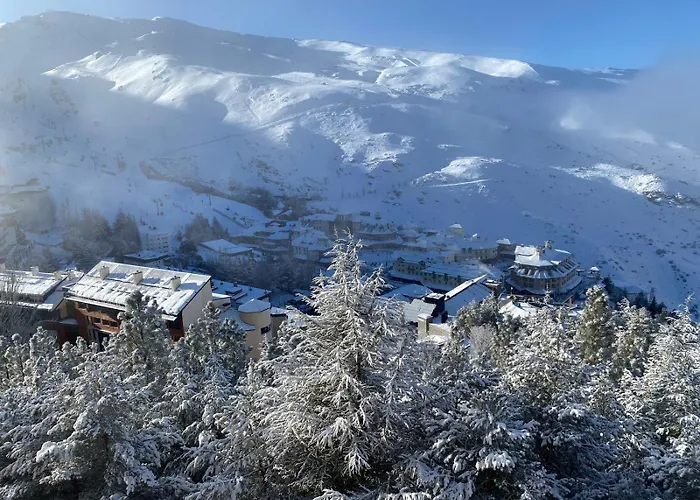 Premium * Sierra Nevada